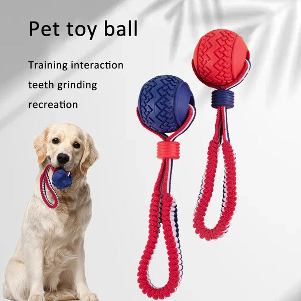 Chew & Tug Dog Ball with Rope
